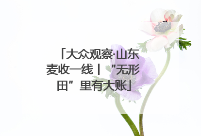 大众观察·山东麦收一线丨“无形田”里有大账