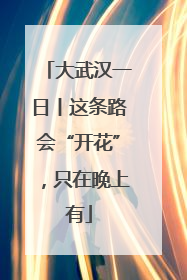 大武汉一日丨这条路会“开花”，只在晚上有