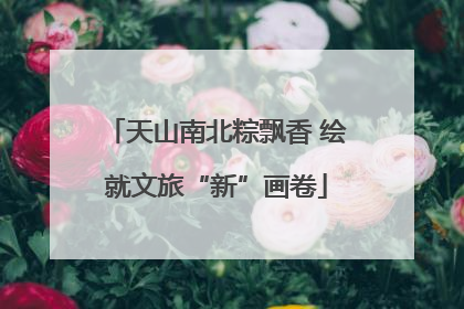 天山南北粽飘香 绘就文旅“新”画卷