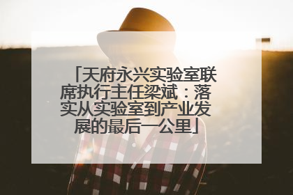 天府永兴实验室联席执行主任梁斌：落实从实验室到产业发展的最后一公里
