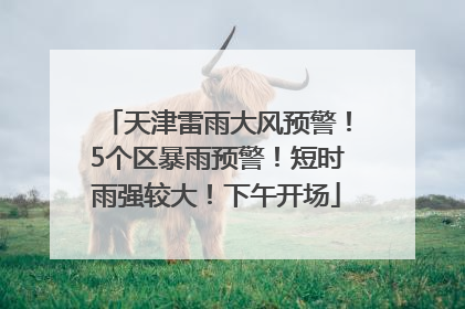 天津雷雨大风预警！5个区暴雨预警！短时雨强较大！下午开场