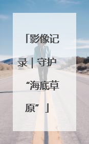 影像记录｜守护“海底草原”
