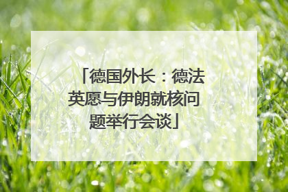 德国外长：德法英愿与伊朗就核问题举行会谈