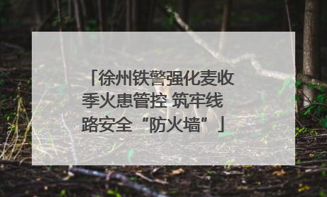 徐州铁警强化麦收季火患管控 筑牢线路安全“防火墙”
