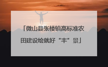 微山县张楼镇高标准农田建设绘就好“丰”景