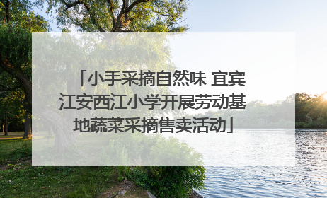 小手采摘自然味 宜宾江安西江小学开展劳动基地蔬菜采摘售卖活动
