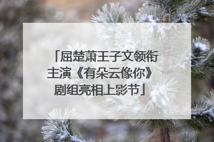 屈楚萧王子文领衔主演《有朵云像你》剧组亮相上影节