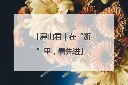 屏山君｜在“浙”里，看先进