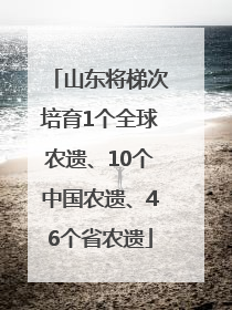 山东将梯次培育1个全球农遗、10个中国农遗、46个省农遗