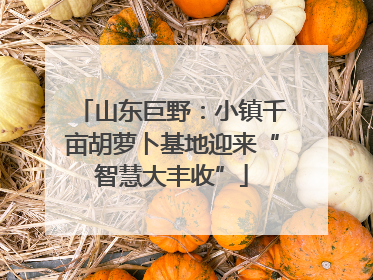 山东巨野：小镇千亩胡萝卜基地迎来“智慧大丰收”
