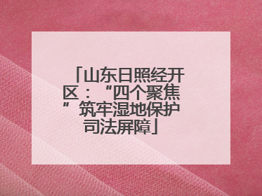 山东日照经开区：“四个聚焦”筑牢湿地保护司法屏障
