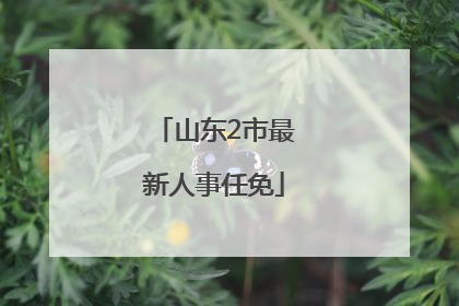 山东2市最新人事任免