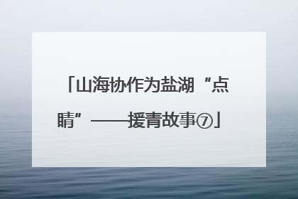 山海协作为盐湖“点睛”——援青故事⑦