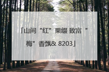 山间“红”果缀 致富“梅”香飘& 8203