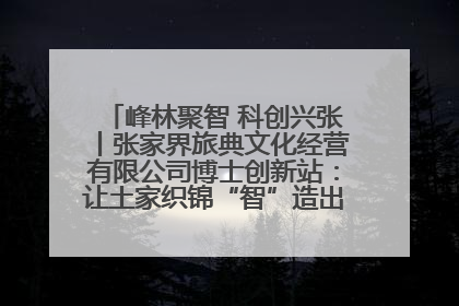 峰林聚智 科创兴张丨张家界旅典文化经营有限公司博士创新站：让土家织锦“智”造出非遗新传奇