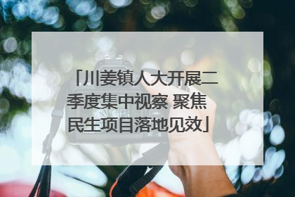 川姜镇人大开展二季度集中视察 聚焦民生项目落地见效