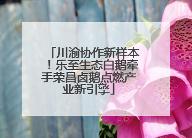 川渝协作新样本！乐至生态白鹅牵手荣昌卤鹅点燃产业新引擎