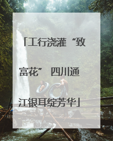 工行浇灌“致富花” 四川通江银耳绽芳华