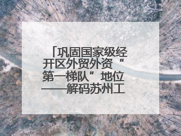 巩固国家级经开区外贸外资“第一梯队”地位——解码苏州工业园区样本