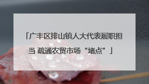 广丰区排山镇人大代表履职担当 疏通农贸市场“堵点”