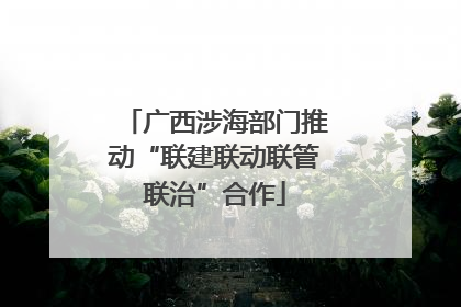 广西涉海部门推动“联建联动联管联治”合作