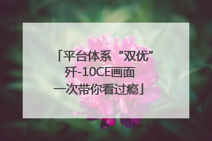 平台体系“双优” 歼-10CE画面一次带你看过瘾