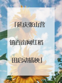 延庆张山营镇百亩网红稻田启动插秧
