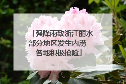 强降雨致浙江丽水部分地区发生内涝 各地积极抢险