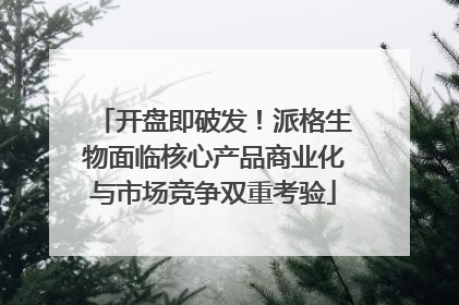 开盘即破发！派格生物面临核心产品商业化与市场竞争双重考验