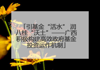 引基金“活水” 润八桂“沃土”——广西积极构建高效政府基金投资运作机制