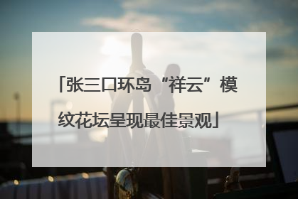 张三口环岛“祥云”模纹花坛呈现最佳景观