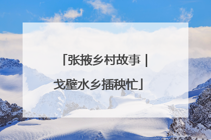 张掖乡村故事｜戈壁水乡插秧忙