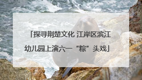 探寻荆楚文化 江岸区滨江幼儿园上演六一“粽”头戏