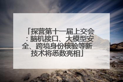 探营第十一届上交会：脑机接口、大模型安全、跨境身份核验等新技术将悉数亮相
