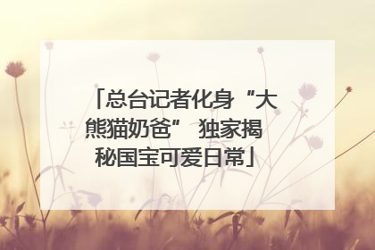 总台记者化身“大熊猫奶爸” 独家揭秘国宝可爱日常