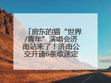房东的猫“世界/青年”演唱会济南站来了！济南公交开通6条歌迷定制专线