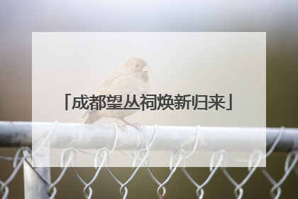 成都望丛祠焕新归来