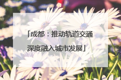 成都：推动轨道交通深度融入城市发展