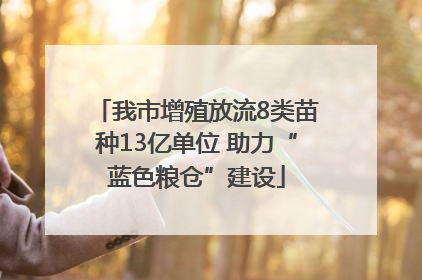 我市增殖放流8类苗种13亿单位 助力“蓝色粮仓”建设