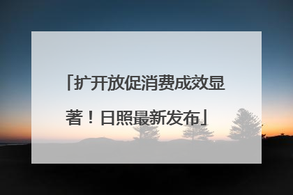 扩开放促消费成效显著！日照最新发布