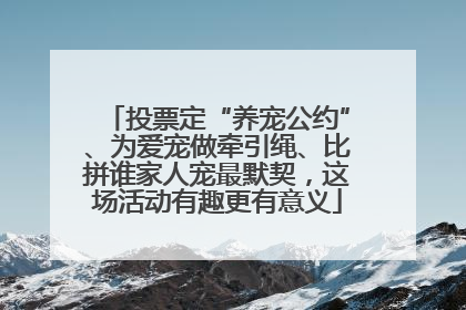 投票定“养宠公约”、为爱宠做牵引绳、比拼谁家人宠最默契，这场活动有趣更有意义
