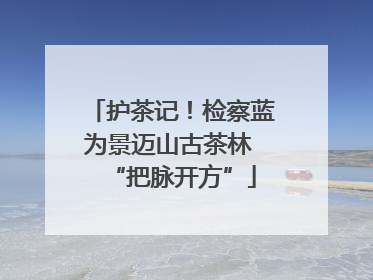 护茶记！检察蓝为景迈山古茶林 “把脉开方”