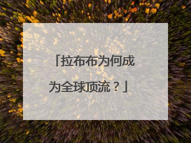 拉布布为何成为全球顶流？