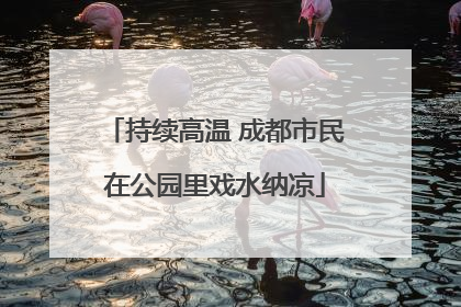持续高温 成都市民在公园里戏水纳凉