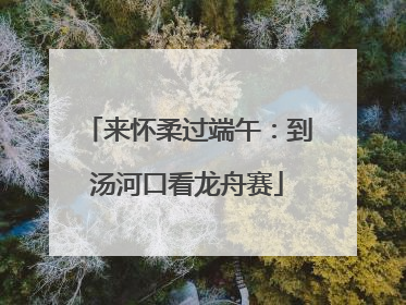 来怀柔过端午：到汤河口看龙舟赛