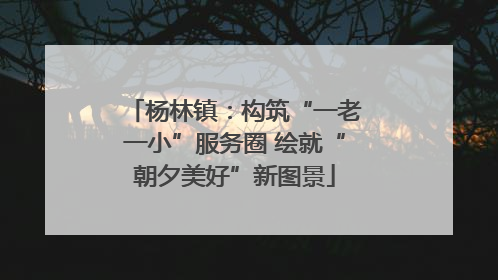 杨林镇：构筑“一老一小”服务圈 绘就“朝夕美好”新图景