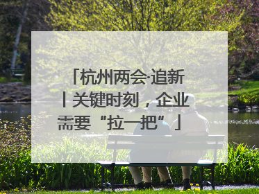 杭州两会·追新丨关键时刻，企业需要“拉一把”