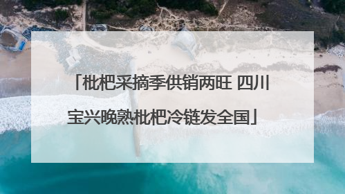 枇杷采摘季供销两旺 四川宝兴晚熟枇杷冷链发全国