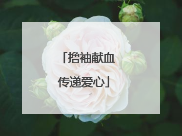 撸袖献血 传递爱心