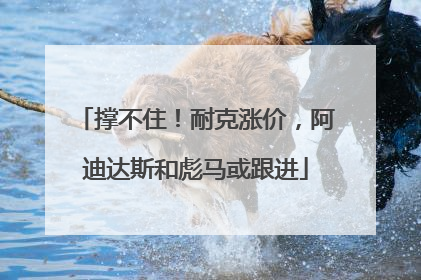撑不住！耐克涨价，阿迪达斯和彪马或跟进